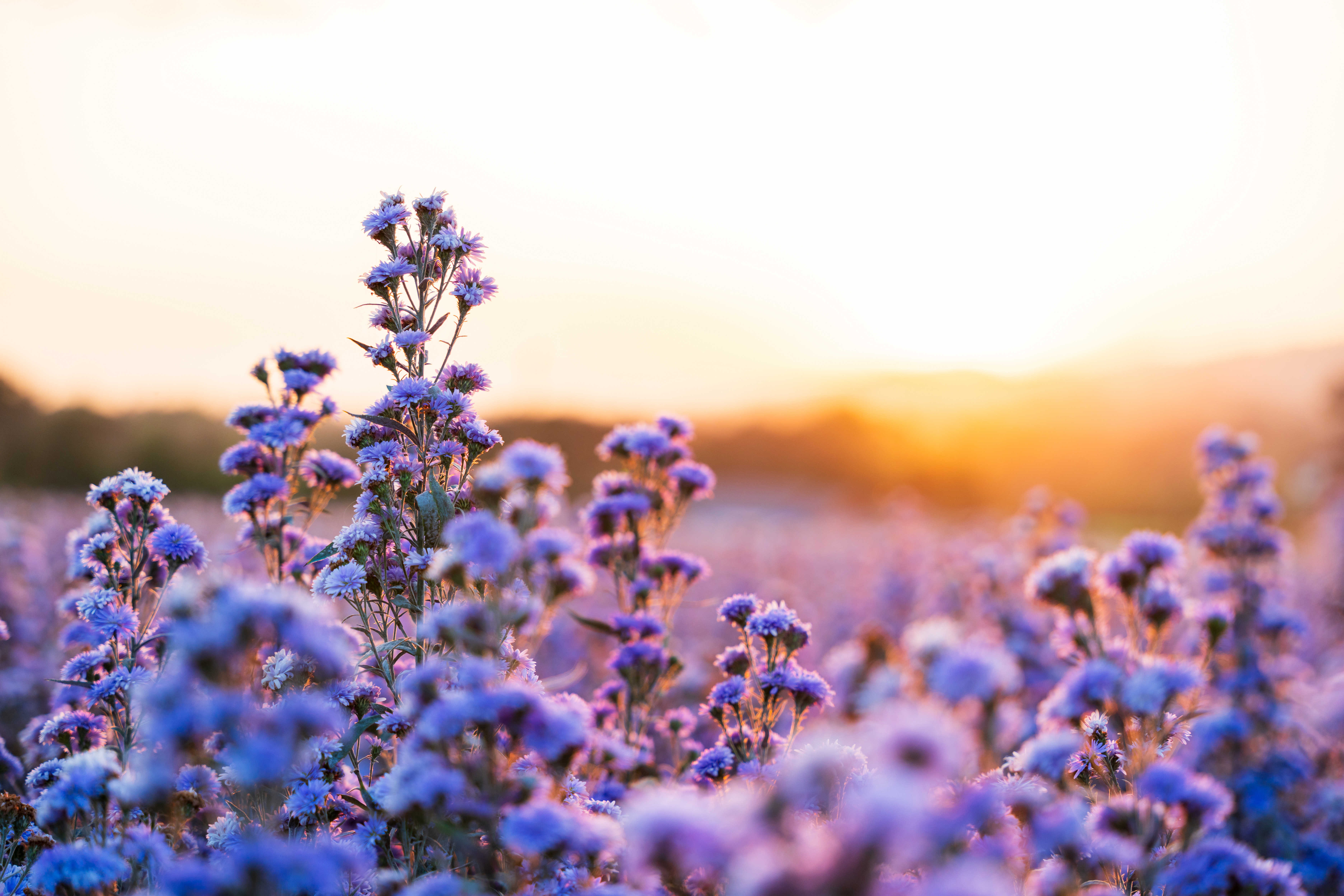 DialMurray Funeral Home